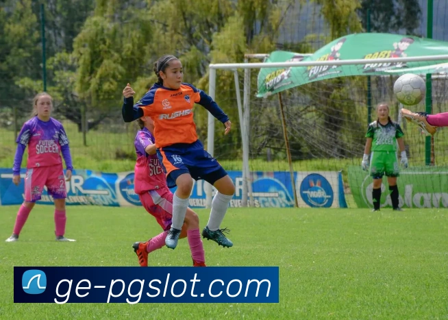 PG电子娱乐官网品牌故事